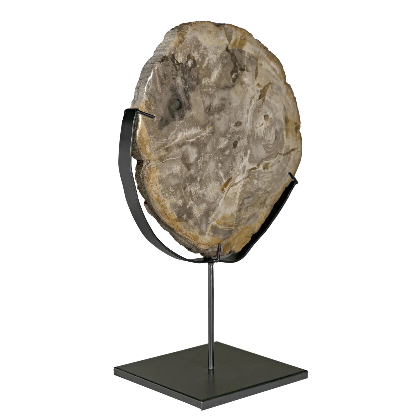 Wood fossil with stand, 12"