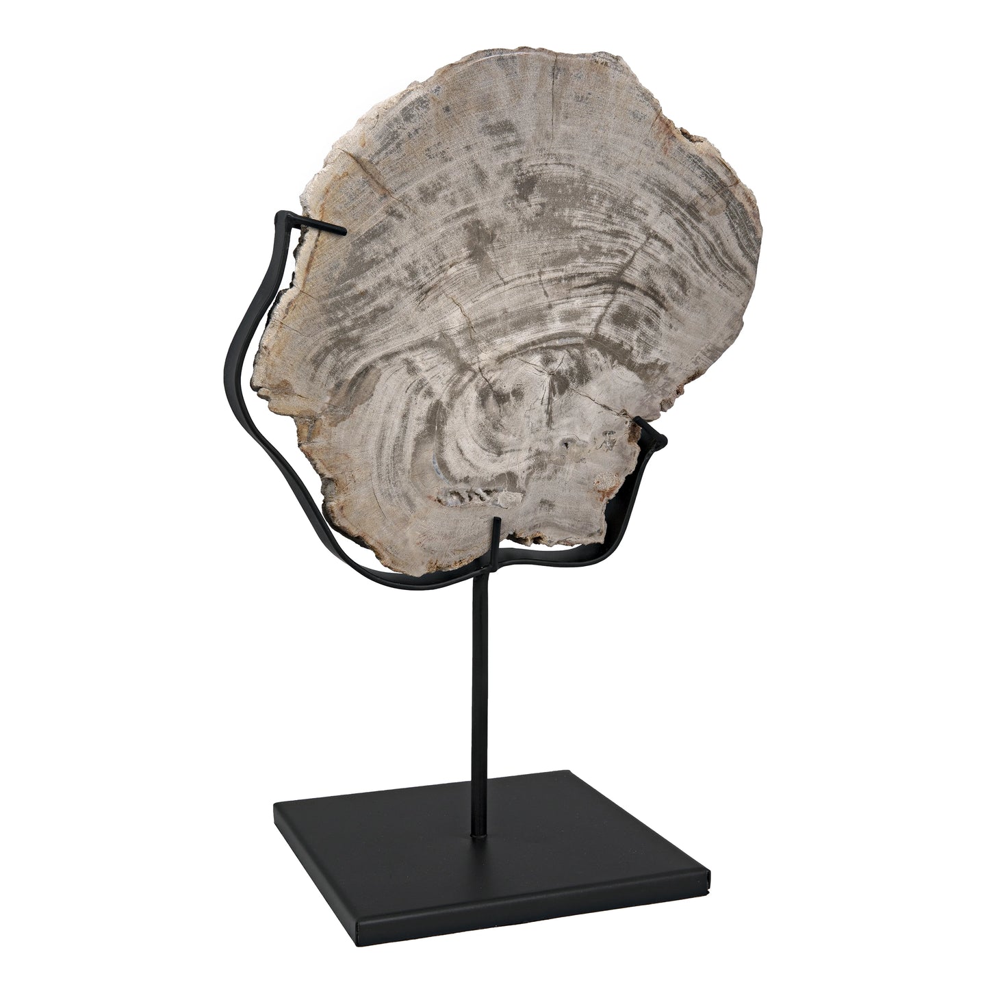 Wood fossil with stand, 8"