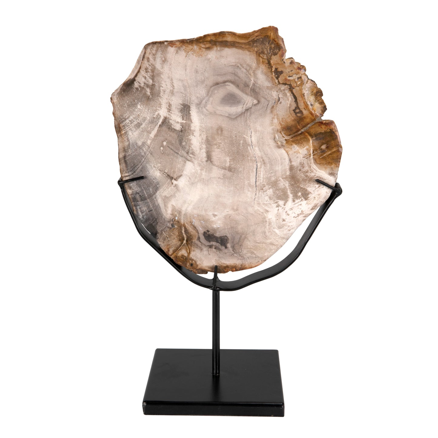 Wood fossil with stand, 8"