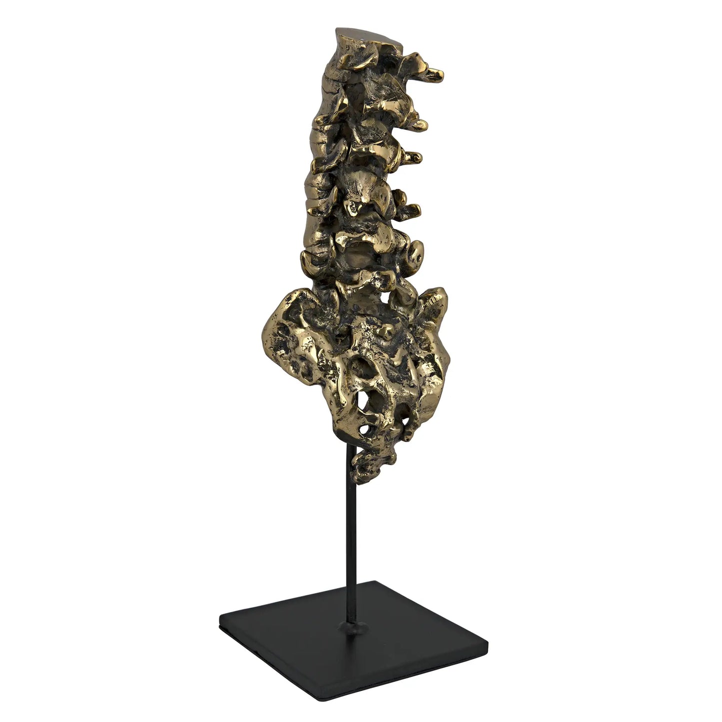 Vertebrae, brass and steel