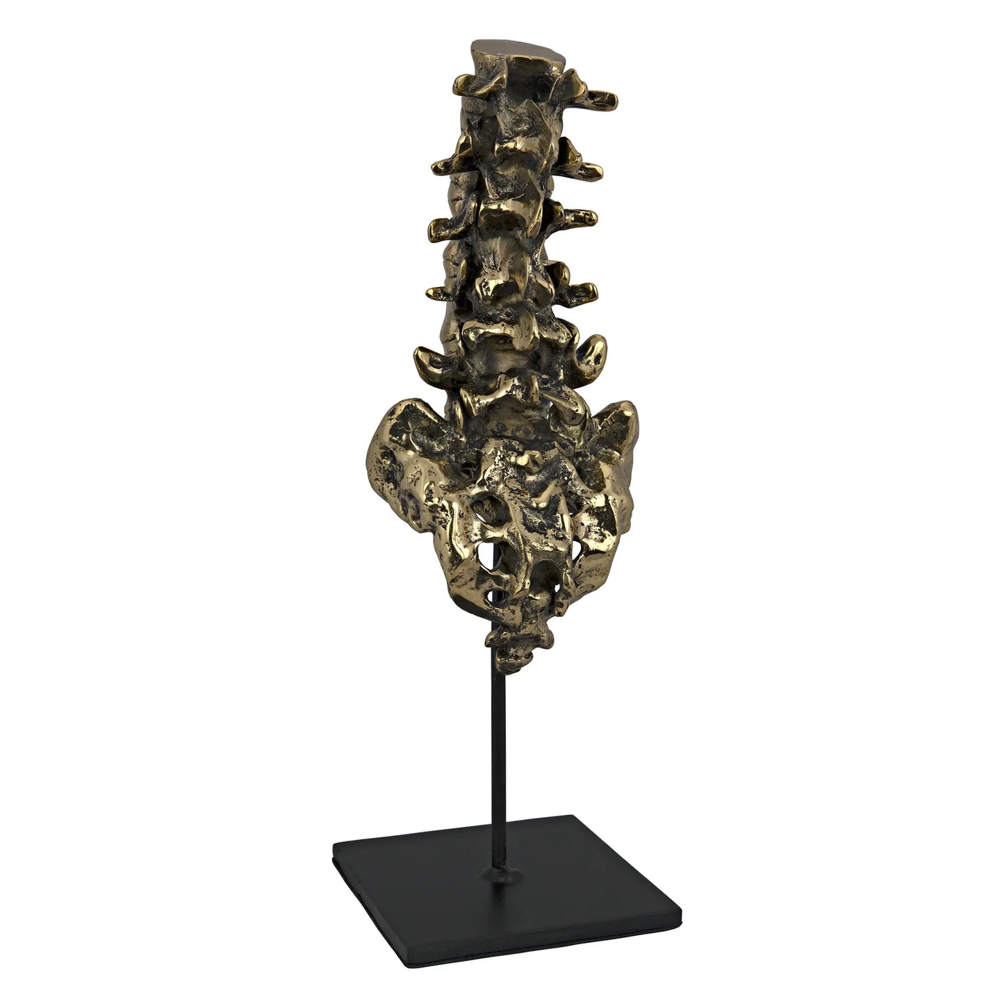 Vertebrae, brass and steel