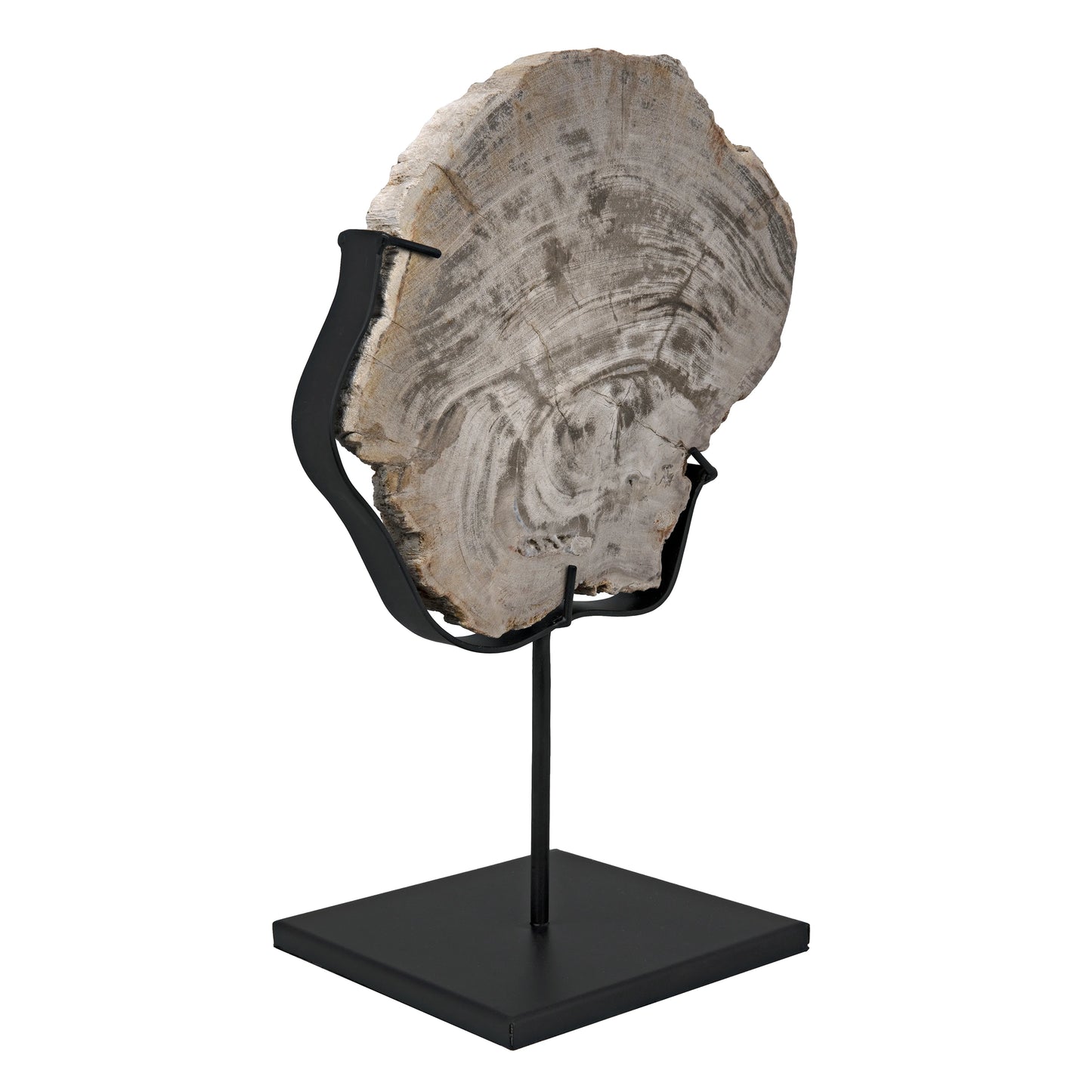 Wood fossil with stand, 8"