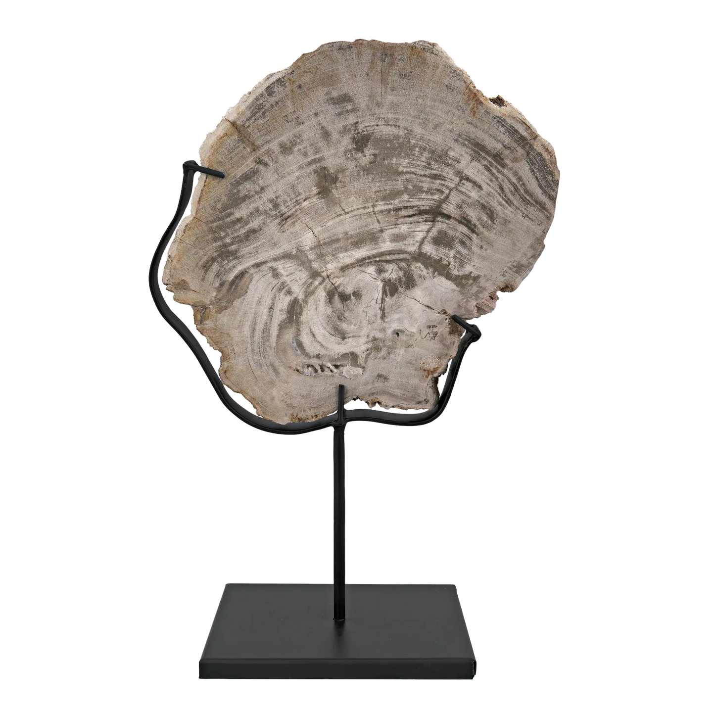 Wood fossil with stand, 8"