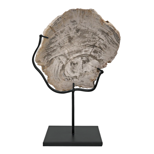 Wood fossil with stand, 8"