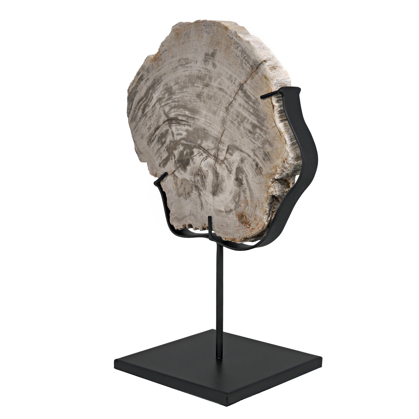 Wood fossil with stand, 8"