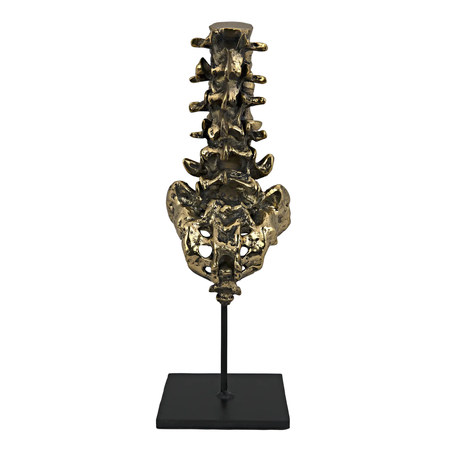 Vertebrae, brass and steel