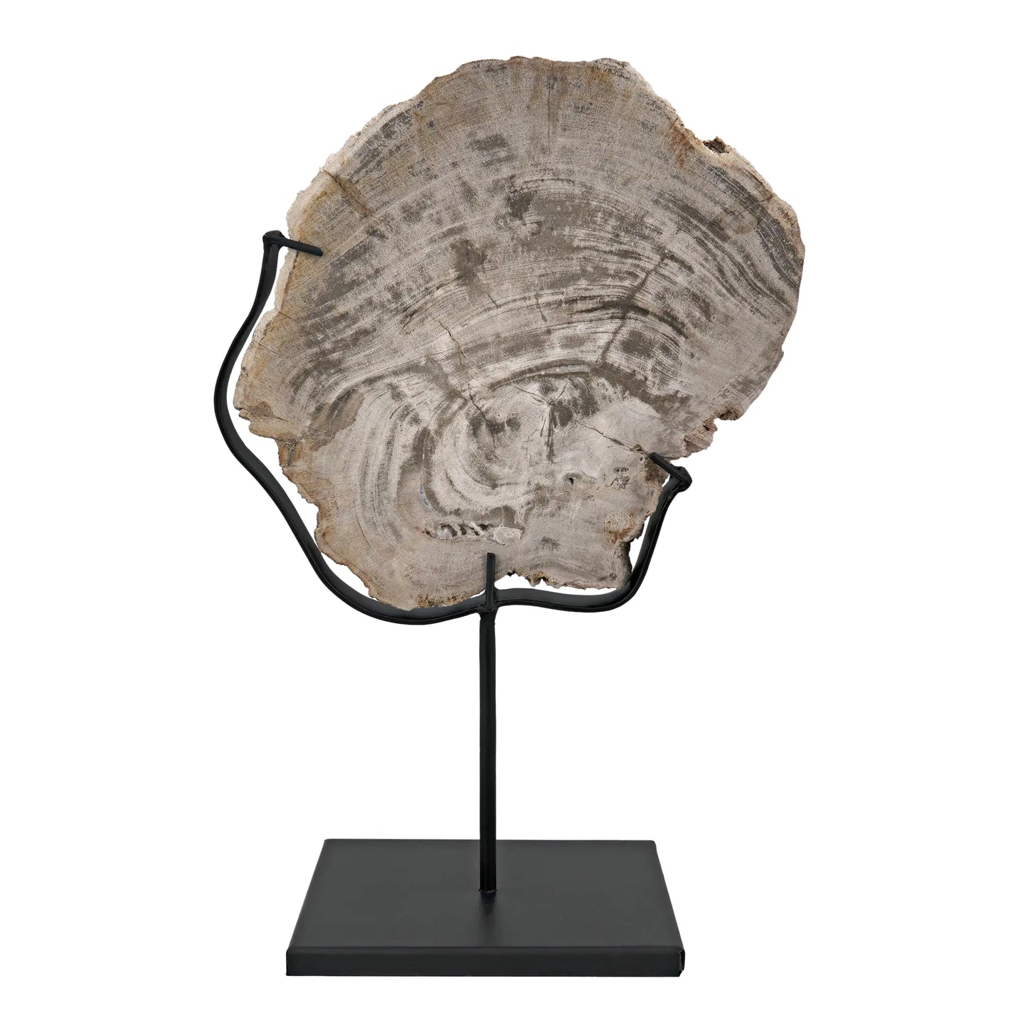 Wood fossil with stand, 8"