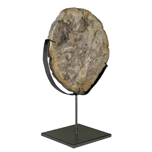 Wood fossil with stand, 12"