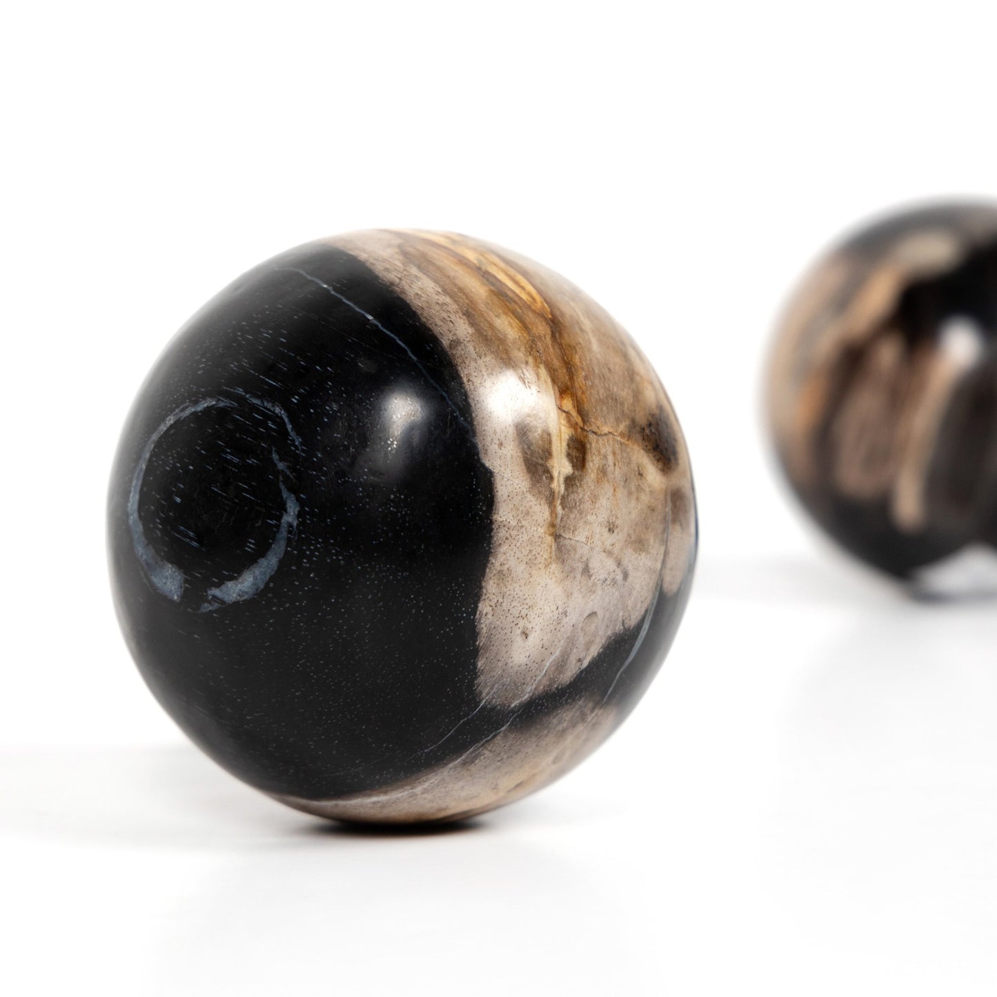 Petrified wood balls, set 3-dark